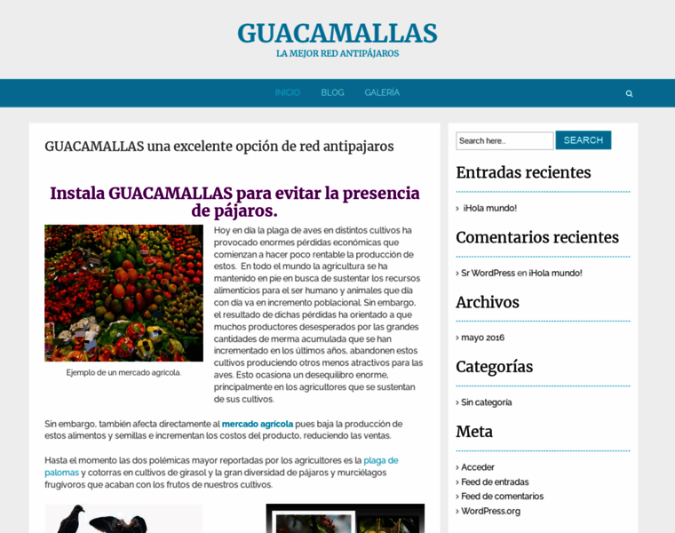 Guacamallas.net thumbnail