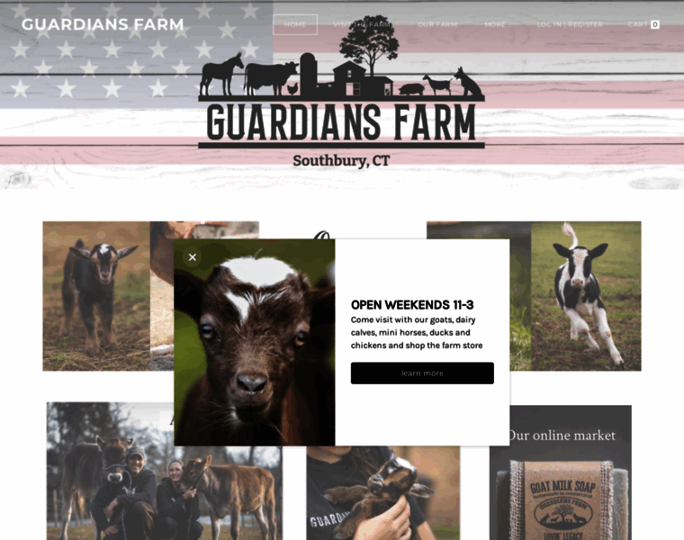Guardiansfarm.com thumbnail