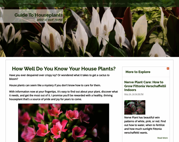 Guide-to-houseplants.com thumbnail