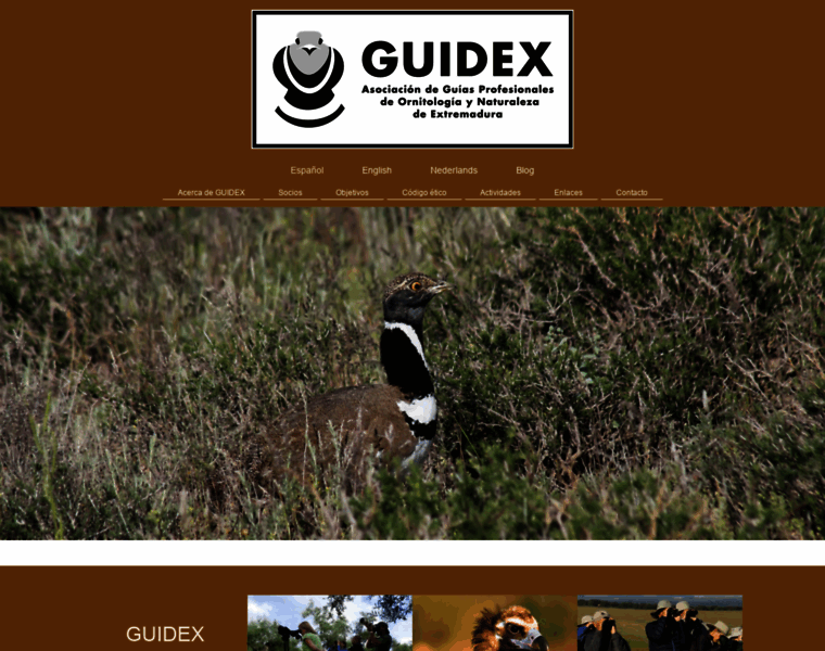 Guidextremadura.com thumbnail