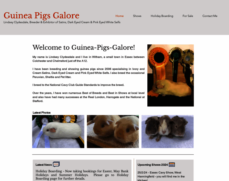 Guinea-pigs-galore.co.uk thumbnail