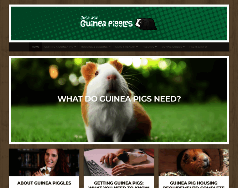 Guineapiggles.com thumbnail