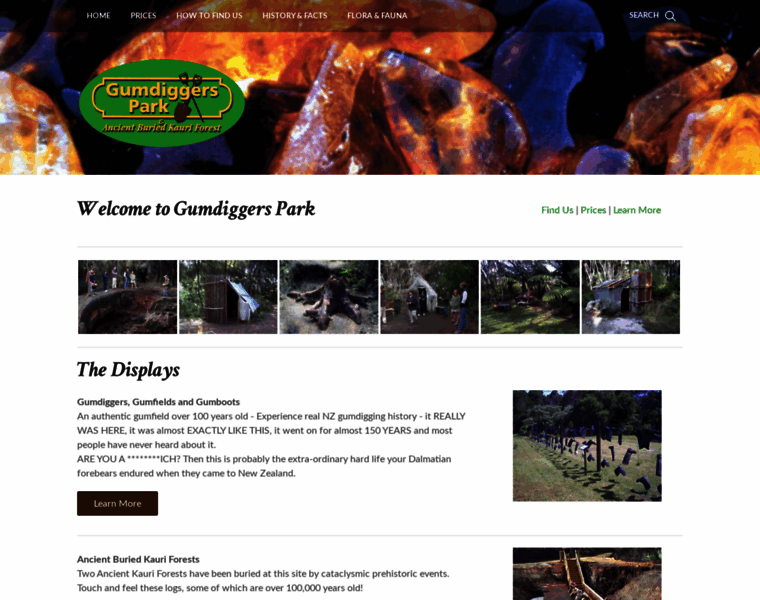 Gumdiggerspark.co.nz thumbnail
