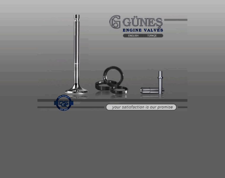 Gunesenginevalves.com thumbnail
