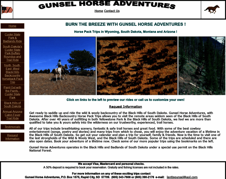 Gunselhorseadventures.com thumbnail
