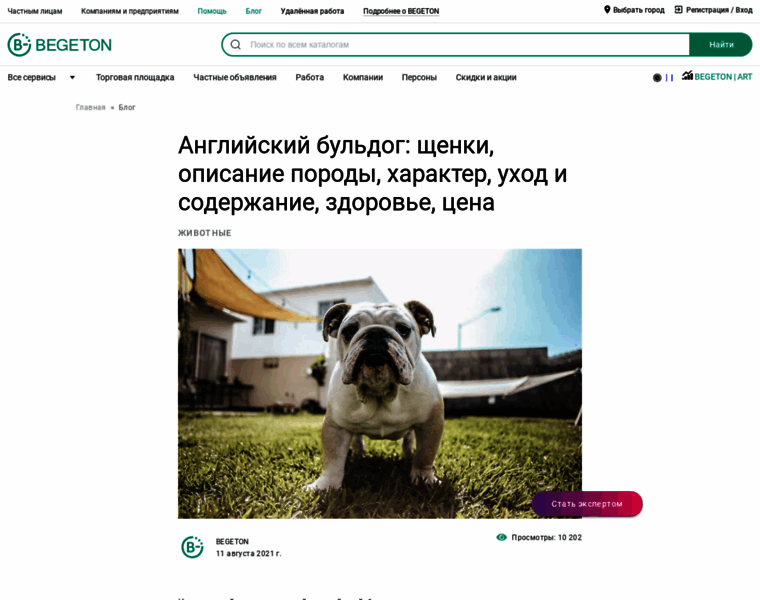 Gurmari-bulldog.ru thumbnail