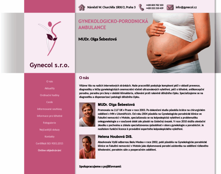 Gynecol.cz thumbnail