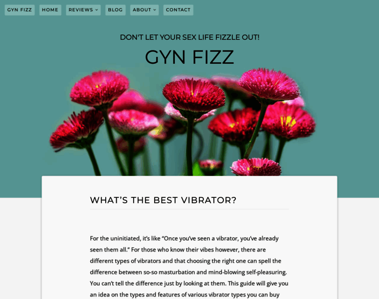 Gynfizz.com thumbnail