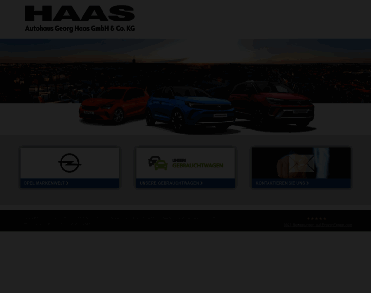 Haas-automobile.de thumbnail