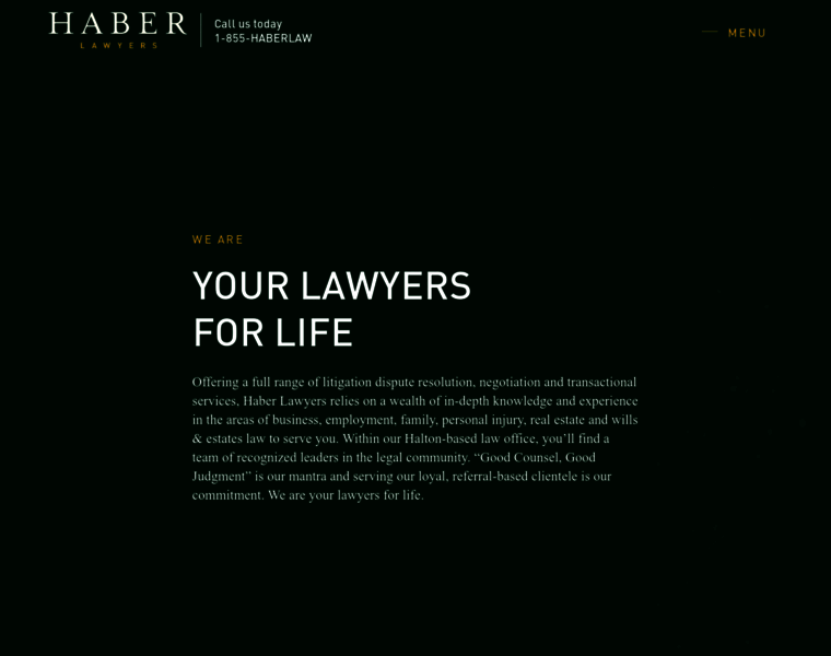 Haber-lawyer.com thumbnail