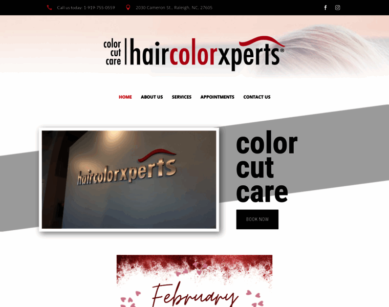 Haircolorxpertsraleigh.com thumbnail