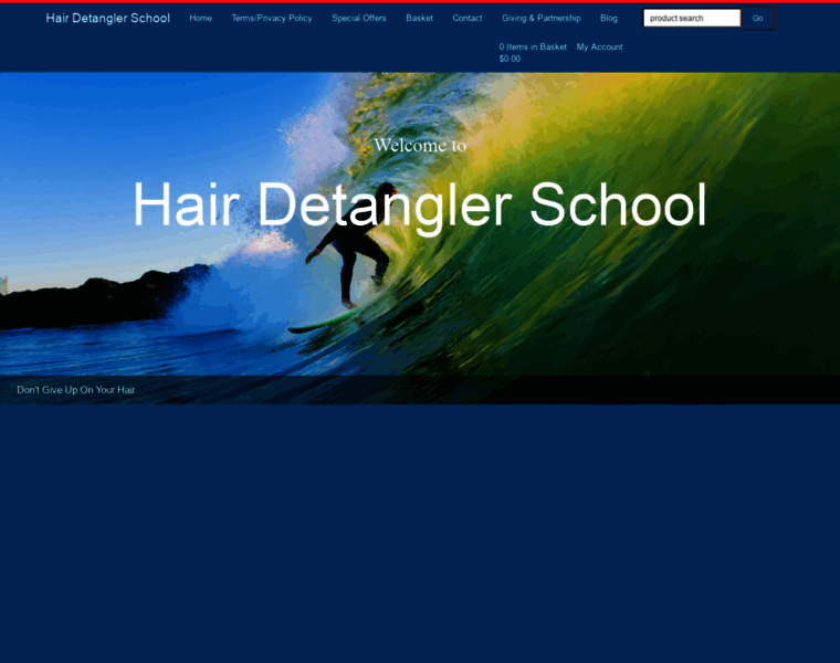 Hairdetanglerschool.com thumbnail