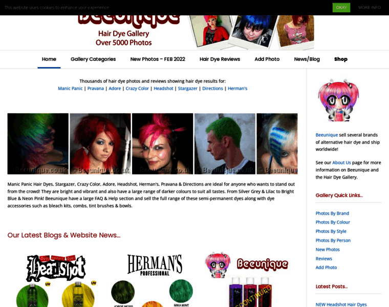 Hairdyegallery.co.uk thumbnail