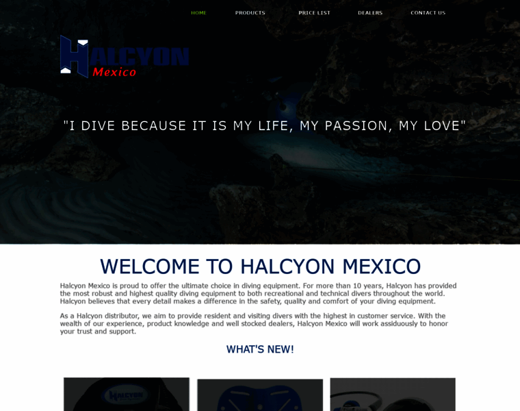 Halcyonmexico.com thumbnail