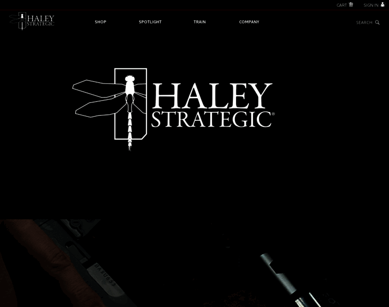 Haleystrategic.com thumbnail
