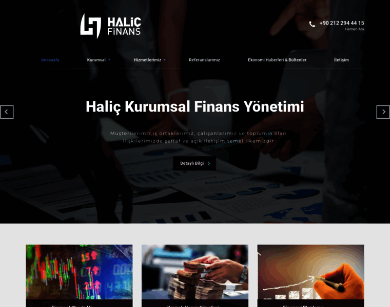 Halicfinans.com thumbnail