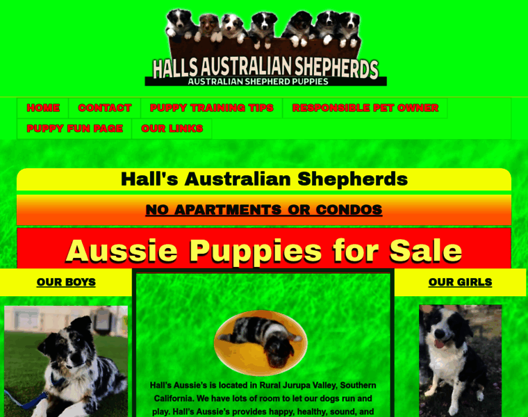 Hallsaustralianshepherds.com thumbnail