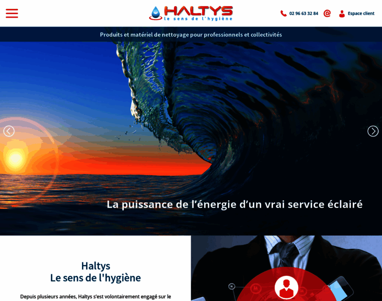 Haltys.com thumbnail