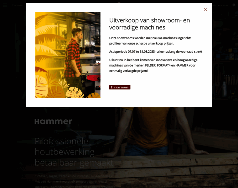 Hammer-houtbewerking.nl thumbnail