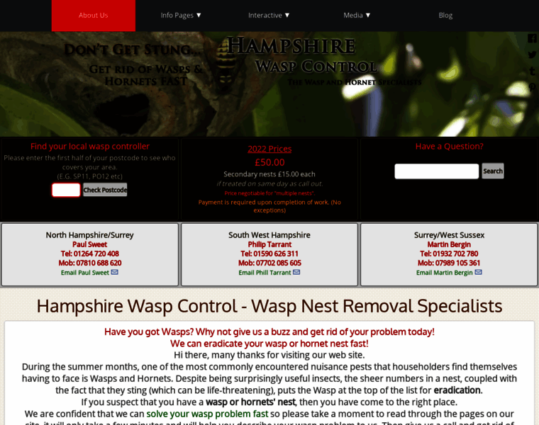 Hampshire-waspcontrol.co.uk thumbnail