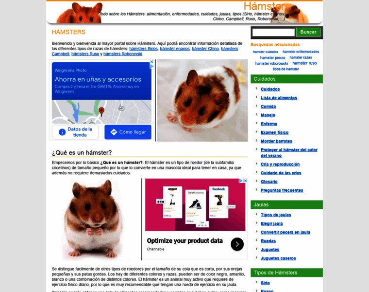 Hamster.org.es thumbnail