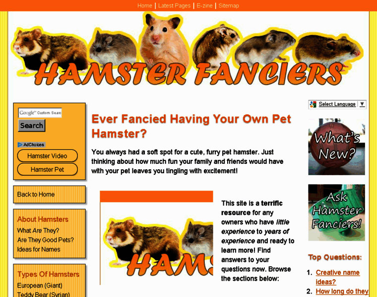 Hamsterfanciers.com thumbnail