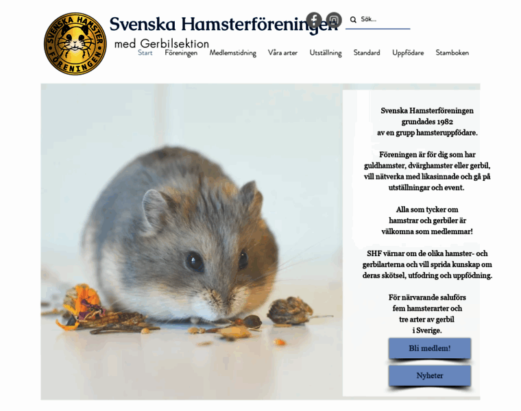 Hamsterforeningen.se thumbnail