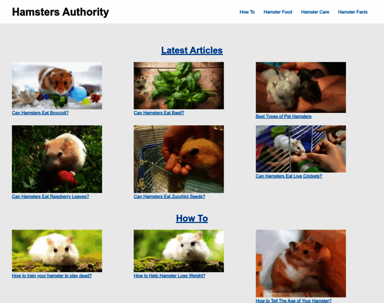 Hamstersauthority.com thumbnail
