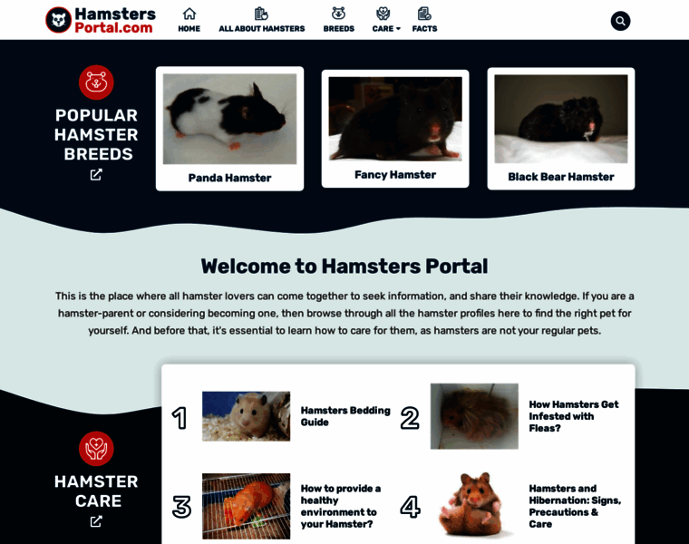 Hamstersportal.com thumbnail