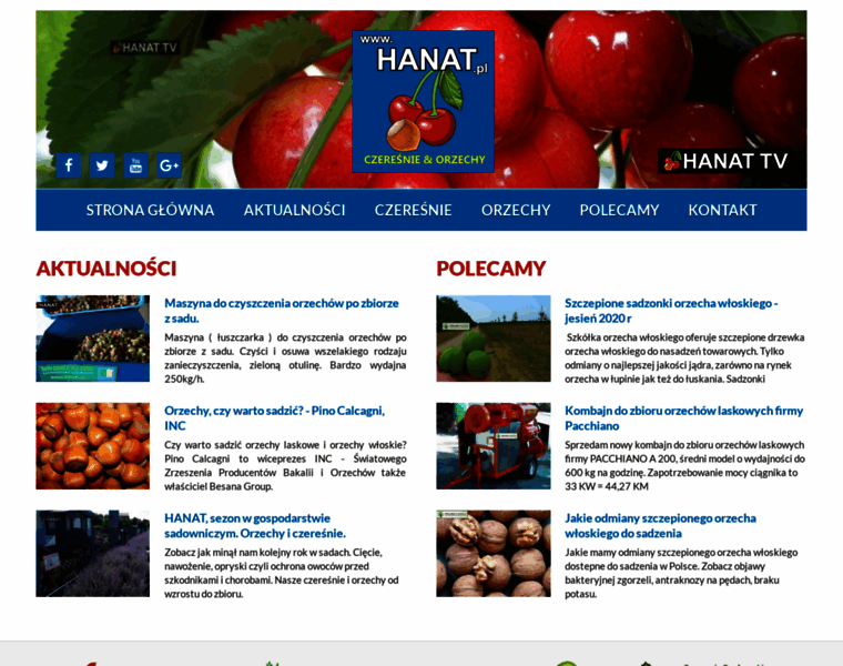 Hanat.pl thumbnail