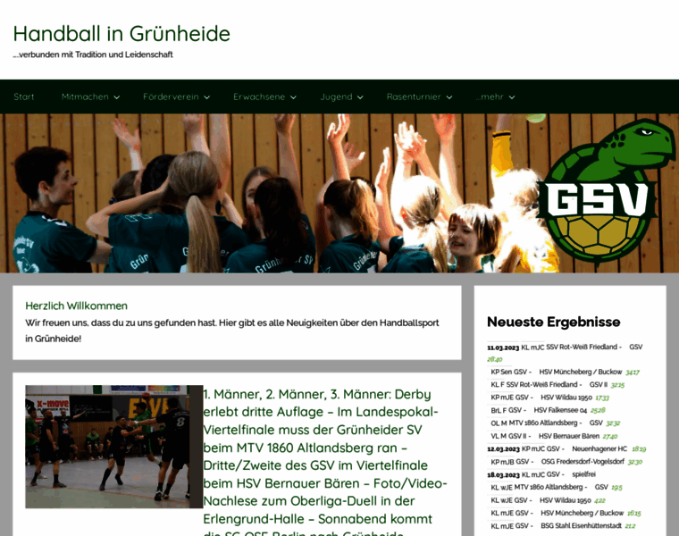 Handball-gruenheide.de thumbnail