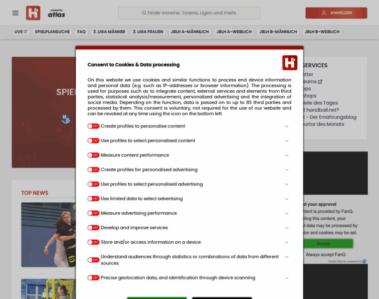 Handball.net thumbnail