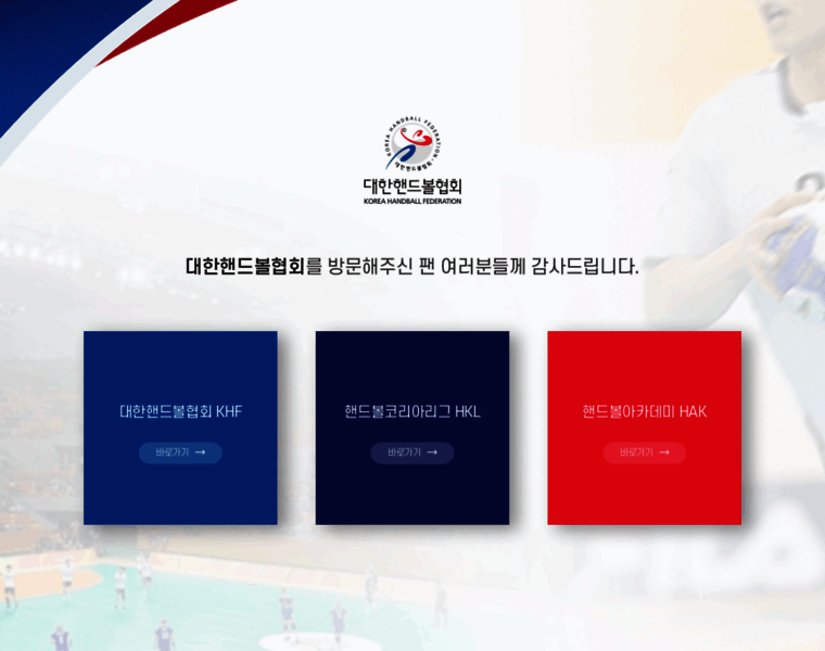 Handballkorea.com thumbnail