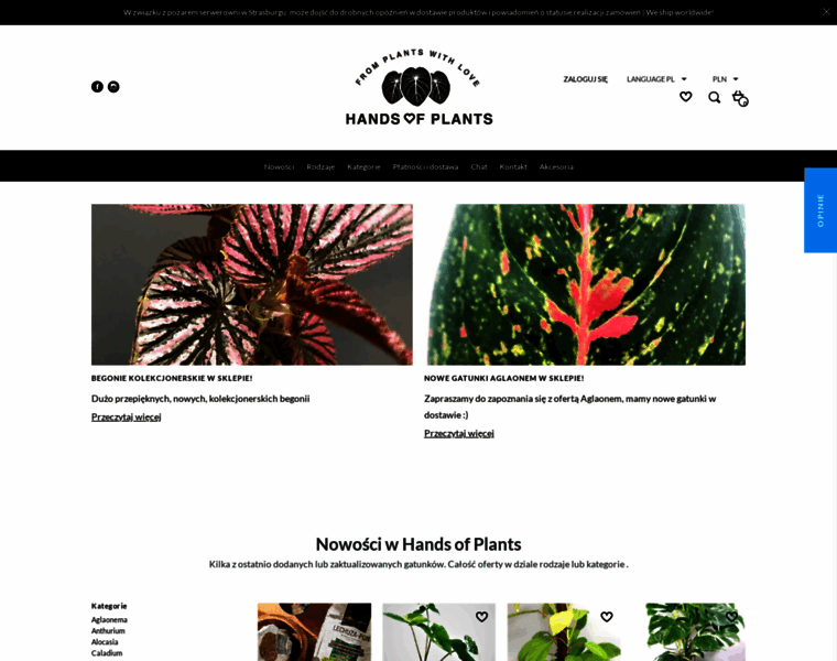 Handsofplants.pl thumbnail