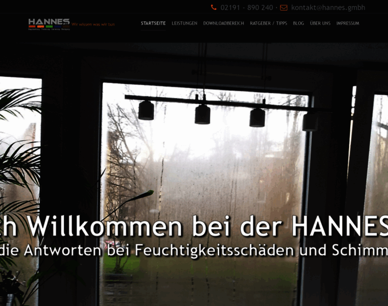 Hannes.gmbh thumbnail