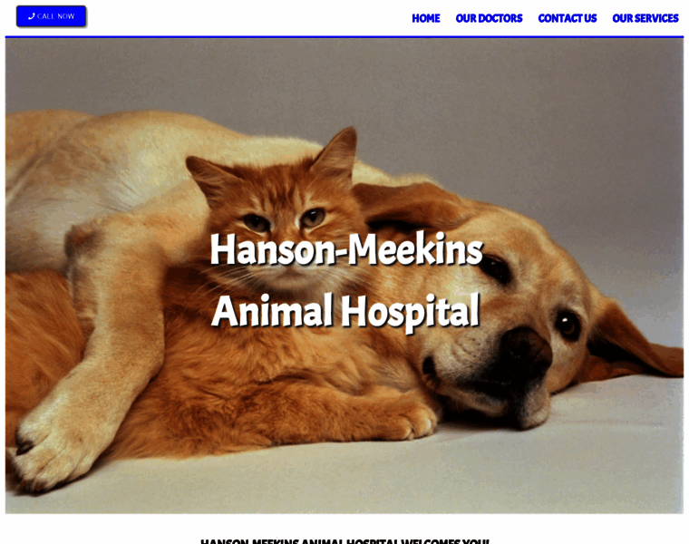 Hanson-meekins.com thumbnail