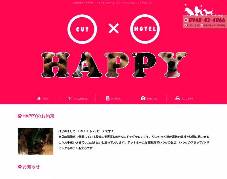 Happy-fukutsu.com thumbnail