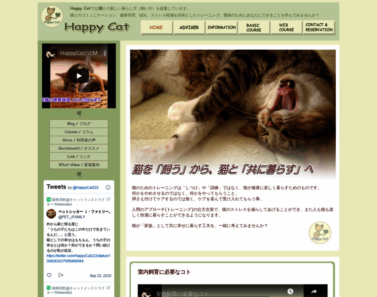 Happycat222.com thumbnail