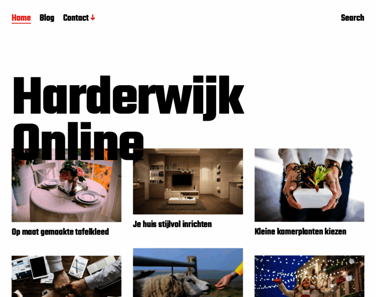 Harderwijkonline.nl thumbnail