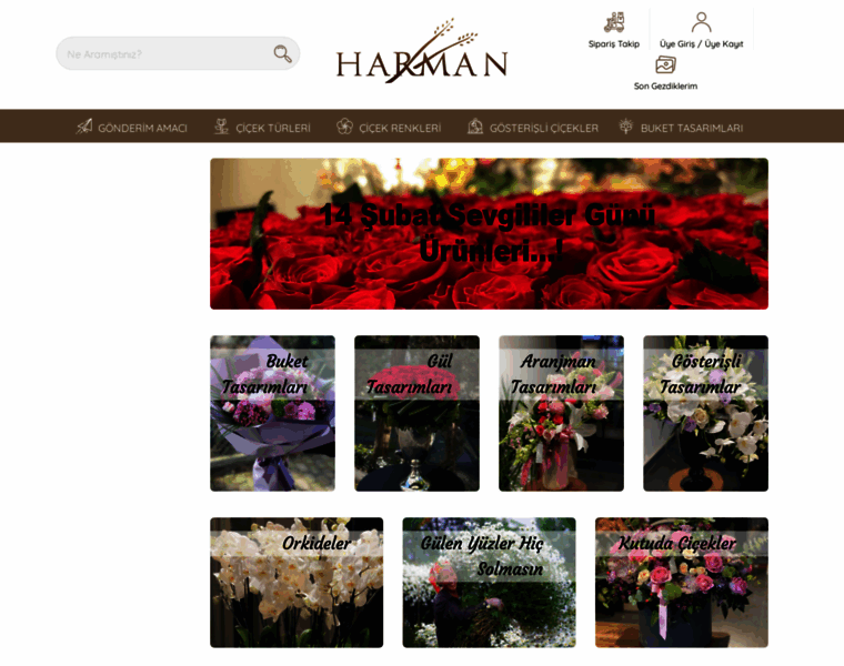Harman.com.tr thumbnail