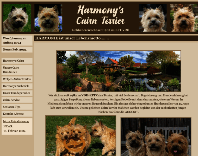 Harmonys-cairn-terrier.de thumbnail