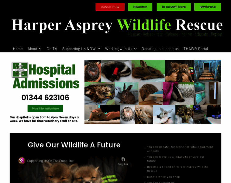Harperaspreywildliferescue.co.uk thumbnail