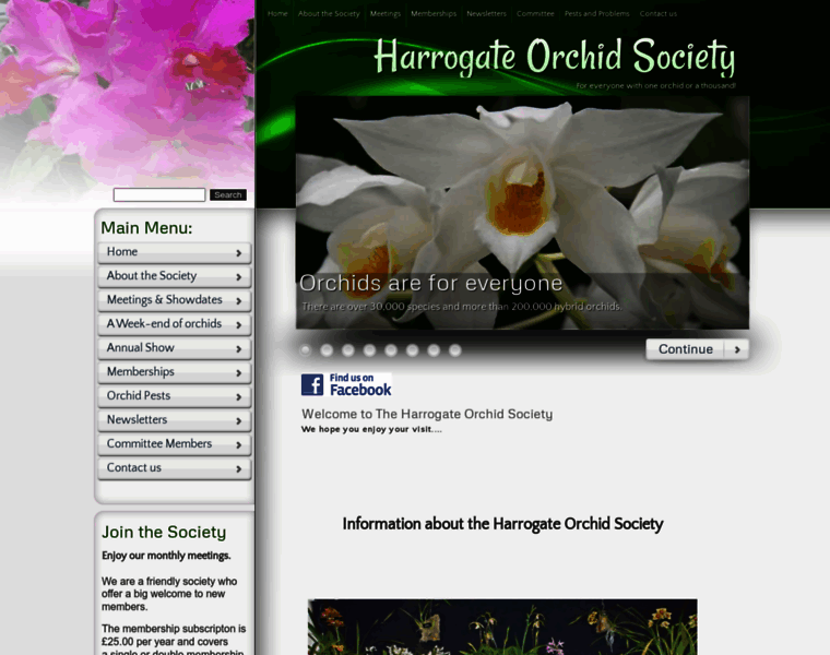Harrogateorchidsociety.co.uk thumbnail