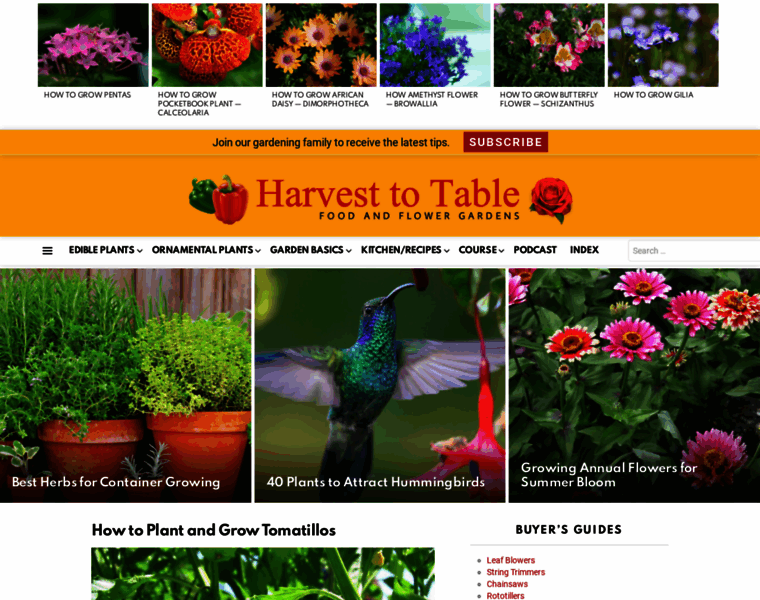 Harvesttotable.com thumbnail