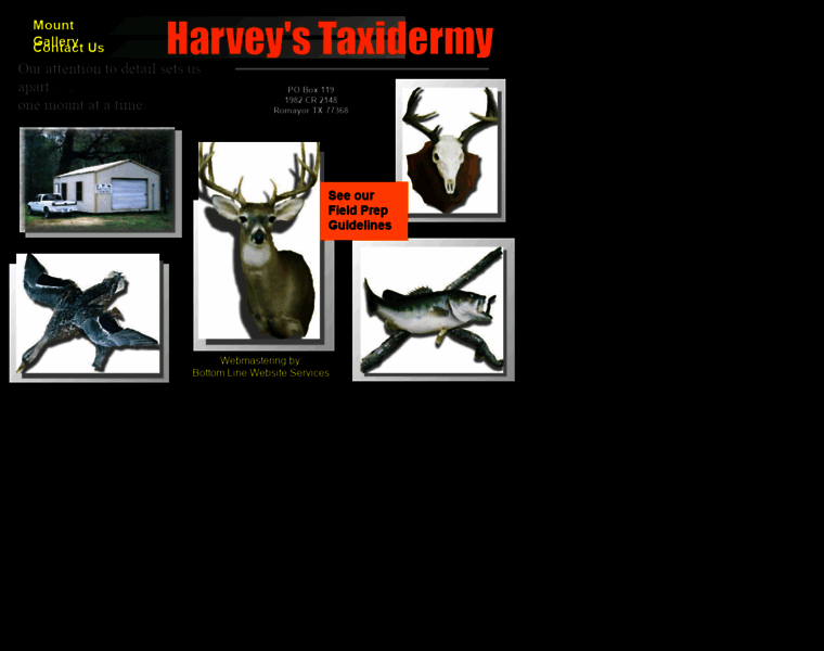 Harveytaxidermy.com thumbnail