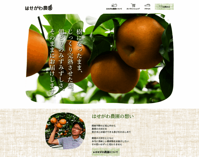 Hasegawa-farm.net thumbnail