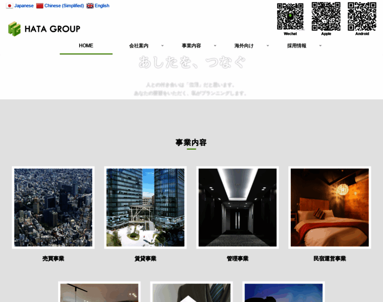 Hata-group.com thumbnail