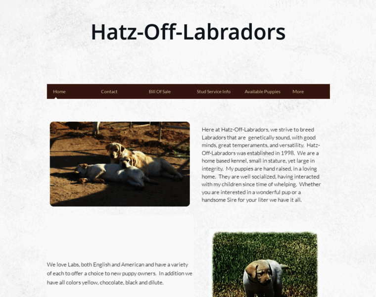 Hatz-off-labradors.com thumbnail