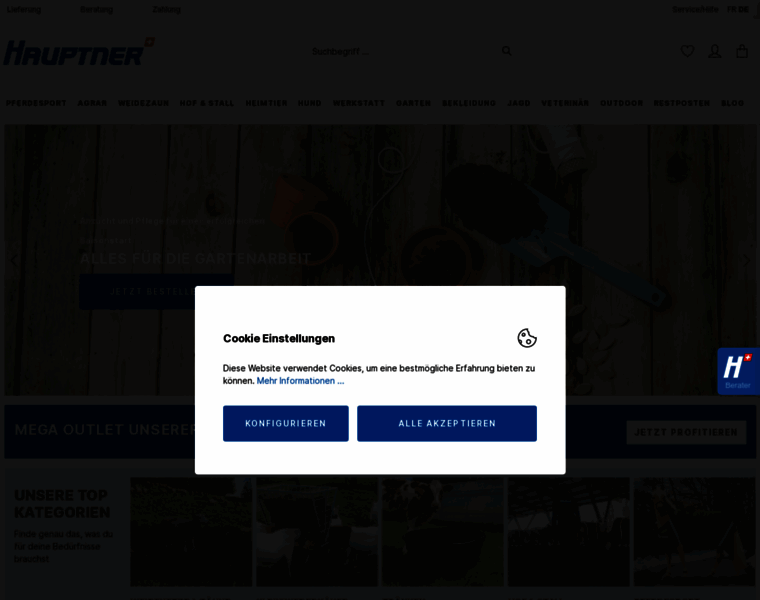 Hauptner.ch thumbnail Hauptner.ch thumbnail