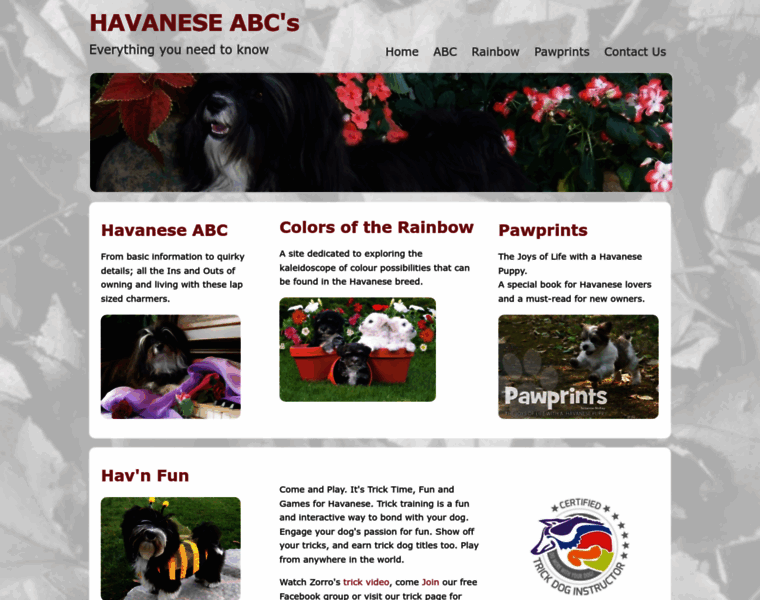 Havaneseabc.com thumbnail